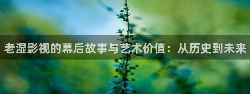 飘雪电视电影网影院神马