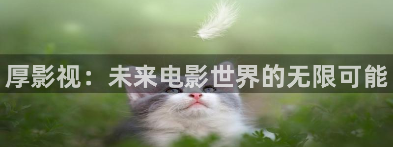 原来神马电影观看