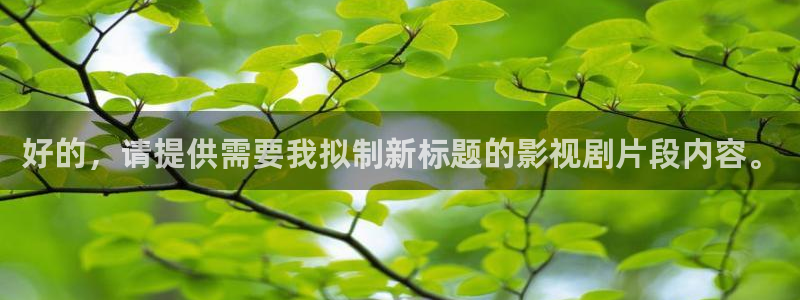 上流社会神马电影