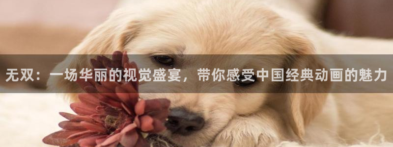 小小神马影院