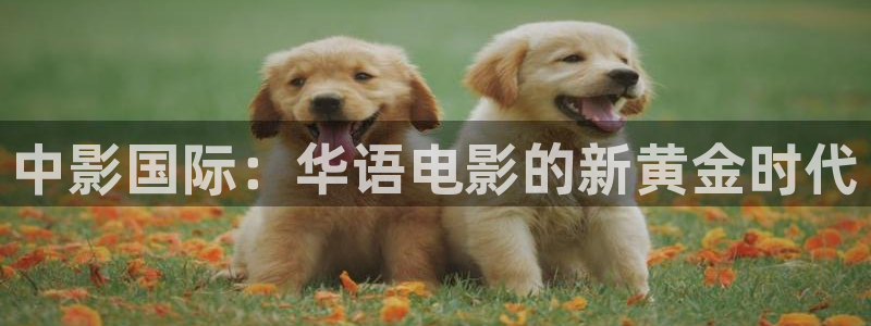 神马午夜伦理影院在线