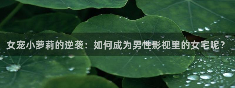 神马电影爱神马av