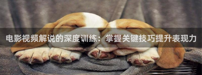 达达兔神马影院我不卡