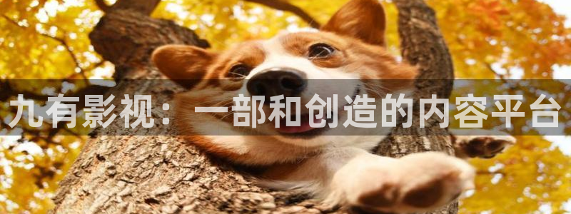 神马影院官网在线观看