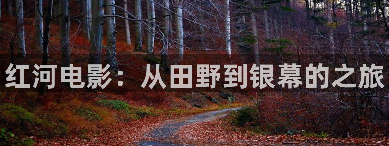 神马 手机 电影