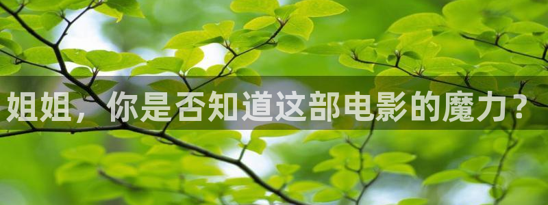 神马影院手机在线电影院