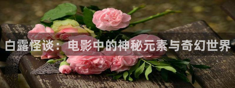 第九神马在线影院
